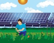 Person workingin a solar field. Illustration by Mary Quinn From UW CALS Grow magazine